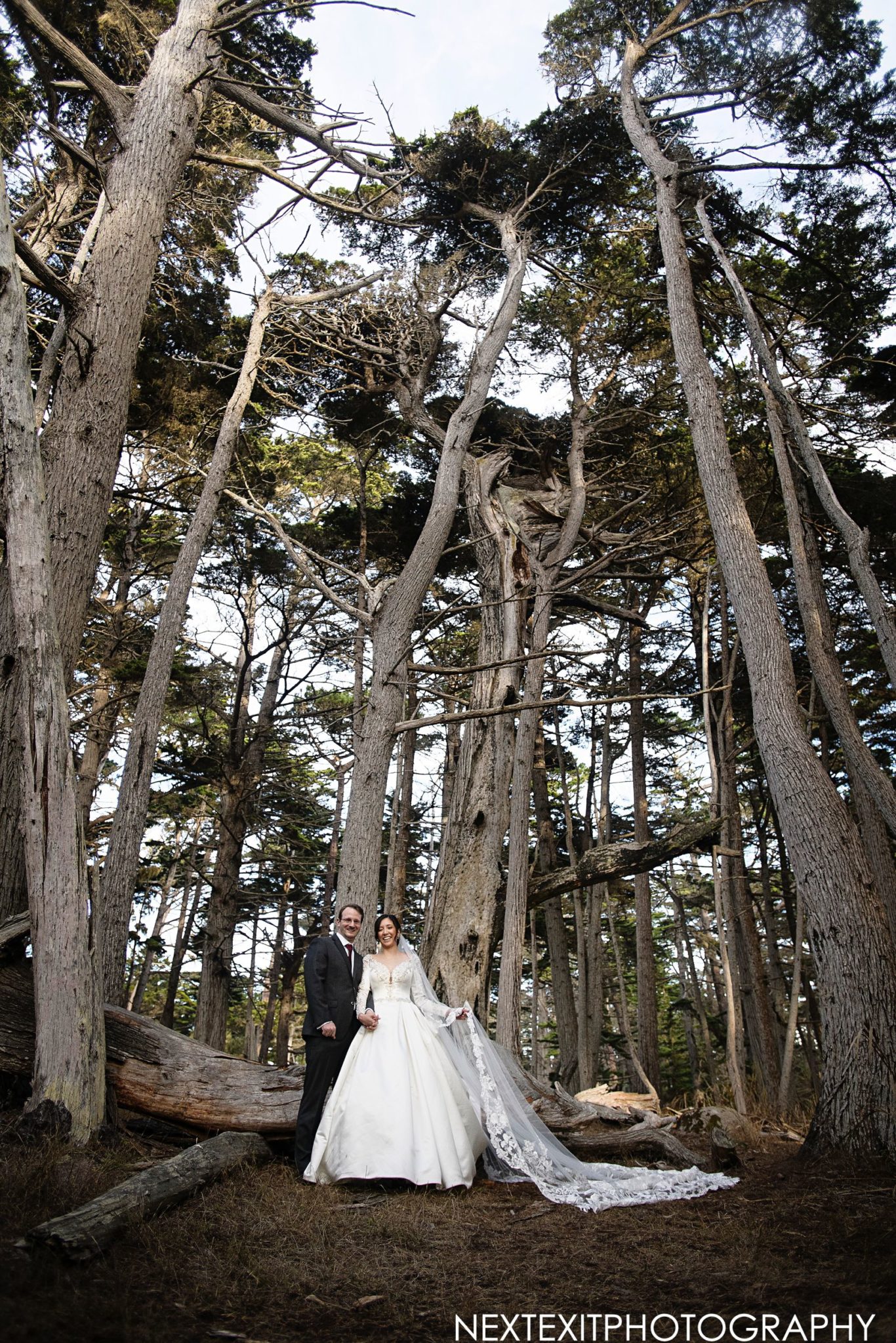 Northern California Wedding